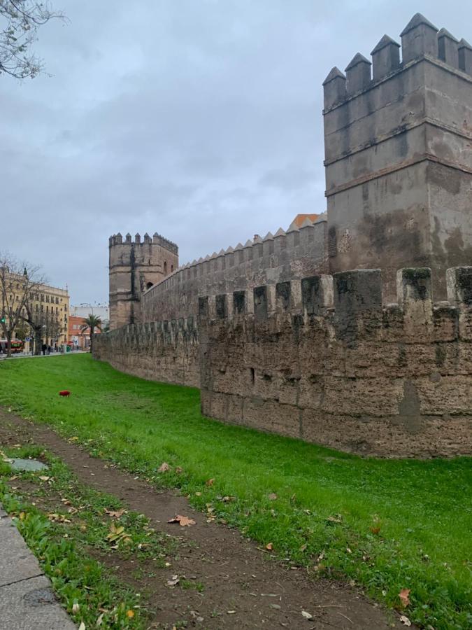 塞维利亚Piso Muralla Macarena公寓 外观 照片